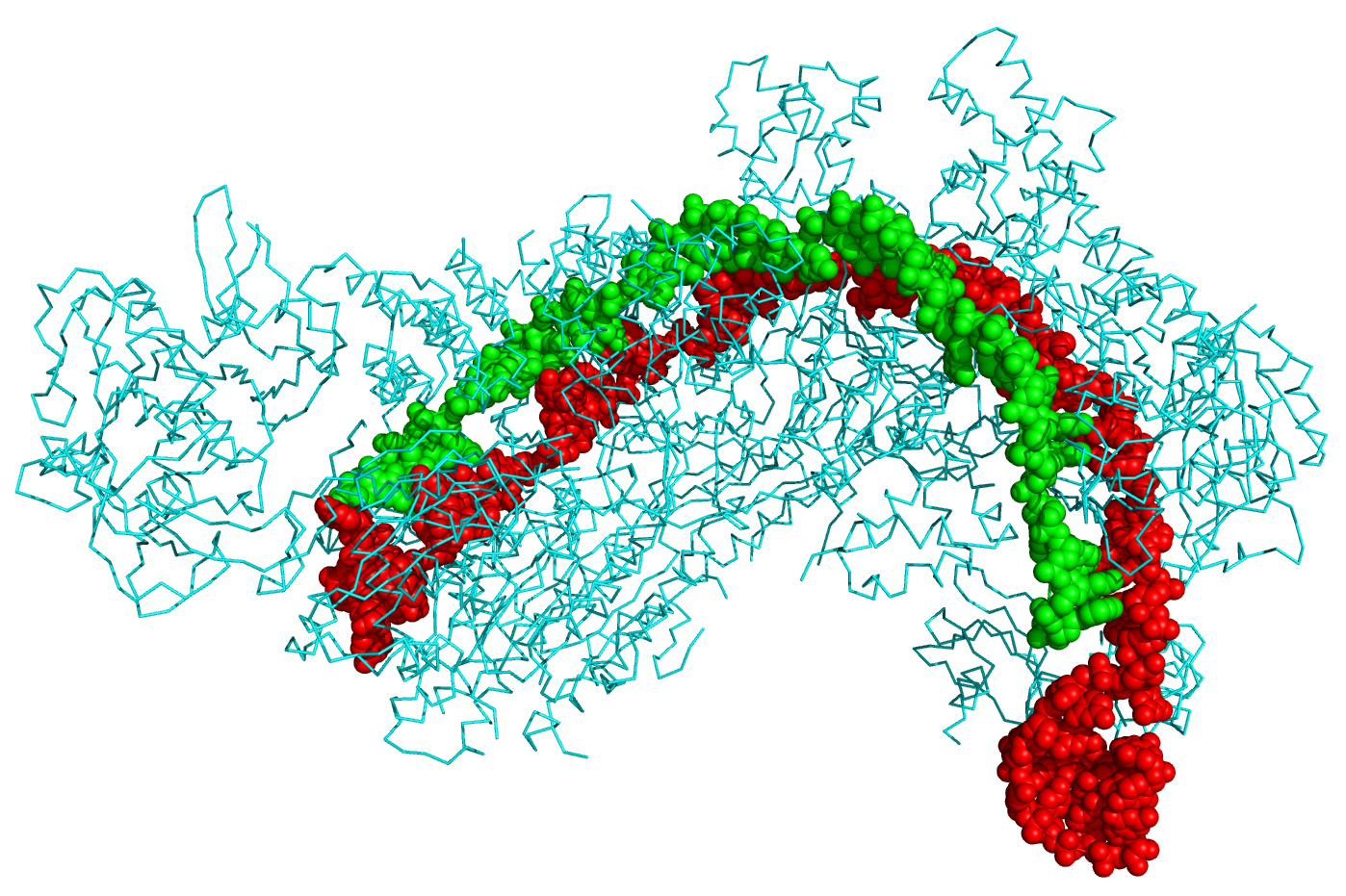 CRISPR-Cas9