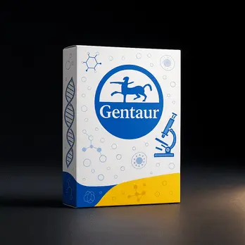 Gentaur  Gel/PCR Purification HE Mini Kit (100 preps) 