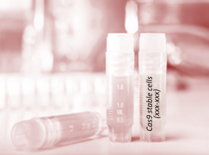 Cas9 Stable Cell Line (K562)