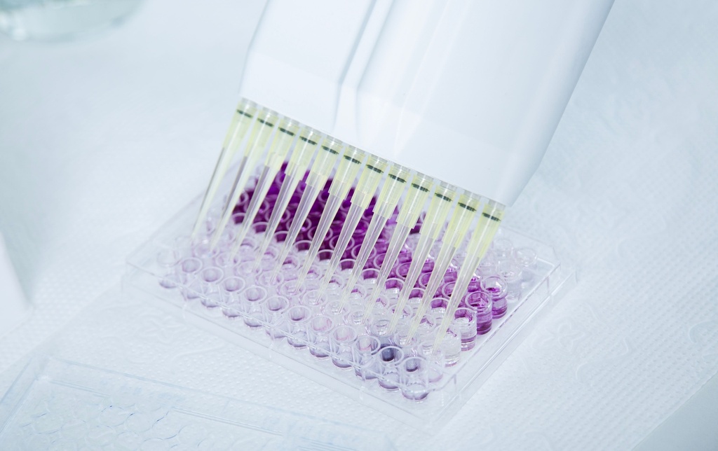 20uL Low Retention Reload Pipette Tips - RNase and DNase Free, 10 Packs of 960 Tips