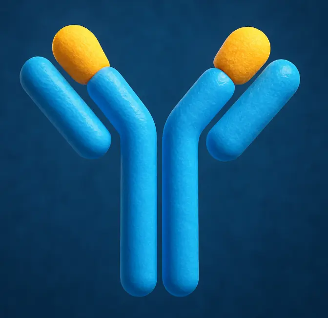 Rabbit Anti-Goat IgG H&L Antibody (Cyanine 3)