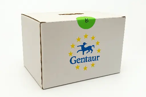 [FM-MS-NRC-3001] Shaker Reciprocal Anti-Moisture, 30 × 30 cm platform